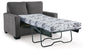 Twin Sofa Sleeper